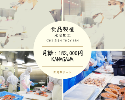 【KI3-005】食品製造・水産加工　Chế biến thủy sản Tỉnh Kanagawa!